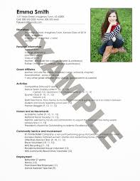 Lvn Resume Template. Microsoft Resume Samples New Excel Resume ...