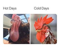 Hong kong has been experiencing hotter summers and more scorcher days in recent years due to climate change and. Thanks I Hate Hot Days Tihi