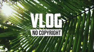 Barren Gates Beauz Tomorrow Feat Harley Bird Ncs Release Bravelion Sleeping Jungle Vlog No Copyright Music Copyright Music Vlogging Music