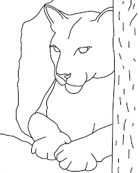 Check spelling or type a new query. Eastern Cougar Coloring Page Animals Town Animal Color Sheets Eastern Cougar Picture