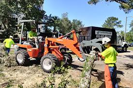 The cost of tree removal varies depending on several factors from tree height, the number of branches, trunk diameter, and location/ access to the tree. 4 Ways To Be Wowed By Orlando S Leading Tree Trimming Removal Service Tree Work Now