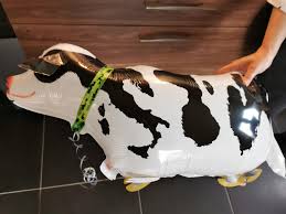 This Cow Balloon Has A Map Of Italy In Its Markings R Mapporn
