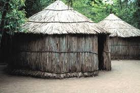 Manioc was the principal crop, but potatoes, beans, peanuts, peppers and other plants were also grown. Taino Indian Culture