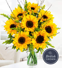 Buchen sie ihre nächste ferien online! Amazon Co Uk Prestige Flowers