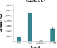 Top 2dg6p abbreviation meanings updated january 2021. Glucose Uptake Glo Assay Glucose Uptake Assay Kit