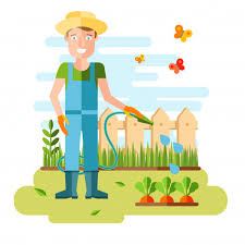 Garten Und Gartenbau Hobbygerate Gemusekisten Und Pflanzen Kostenlose Vektor