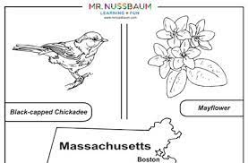 For birders and identification of dickcissel: Mr Nussbaum Massachusetts State Symbols Coloring