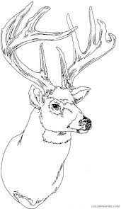 By best coloring pagesaugust 1st 2013. Deer Coloring Pages Deer Head Coloring4free Coloring4free Com