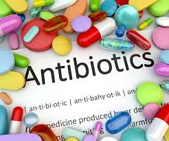 Image result for Antibiotic