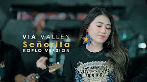 Cover Lagu Shawn Mendes Dan Camila Cabello Senorita Versi Dangdut Koplo Via Vallen Lirik Lagu Lagu Camila Cabello Are you see now top 10 senorita results on the web. versi dangdut koplo via vallen