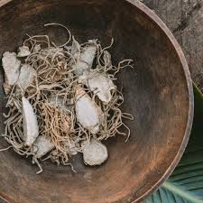 Image result for Siphonochilus aethiopicus