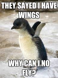 Find and save meme penguins memes | from instagram, facebook, tumblr, twitter & more. 15 Down Right Hilarious Penguin Memes Penguins Funny Funny Horse Memes Funny Animal Memes