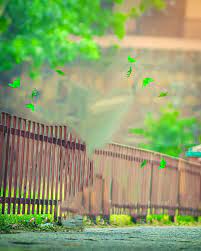 30 Picsart Background Hd Images Download 2021 5 Picsart Background Beach Background Images Dslr Background Images