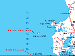 Learn how to create your own. Immersioni Subacquee Oristano Sardegna Pianeta Alghero