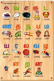 tamil alphabet chart for kids alphabet image and picture