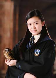Die Nebendarsteller Aus Harry Potter Das Machen Sie Heute Harry Potter Wiki Harry Potter Witch Harry Potter Characters