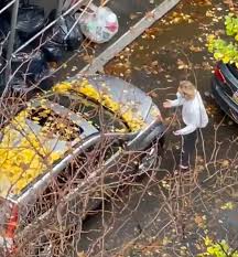 Even if you are not a do it yourself person you can still save money at diy auto center. West Side Rag Tensions Flare On Alternate Side Parking Day The Rumble In The Urban Jungle