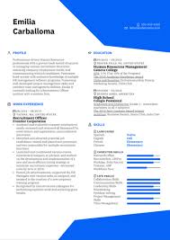 But if you have little or no work experience, the stakes are higher. Employment Advisor Cover Letter Example Kickresume