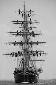 Le Chat Noir Now This Is Sailing Sailing Ships Tall Ships Old Sailing Ships