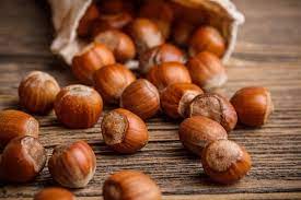 Scarica tutte le foto e usale anche per progetti commerciali. Piano Nocciola Italia Di Ferrero Ecco Tutti I Dettagli Agronotizie Vivaismo E Sementi
