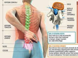 À lire dans cet article. Ogni Mal Di Schiena Va Capito Per Non Curarlo Troppo O Poco Corriere It