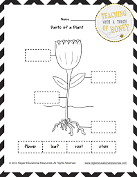 Meritnation offers second grade science unlimited practice questions, tests, downloadable worksheets and study material in the form of videos and animations meta keywords. 35 Label Plant Parts Worksheet Labels Database 2020