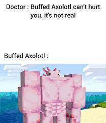 5.7m members in the minecraft community. Minecraft Memes En Twitter The Axolotl Is Now Strong