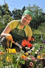 Where to buy flowers is a question many people have. Planting Flowers By Zone Lovetoknow