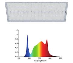 These are described by the manufactures as color temperature. Xluoioldodcimm