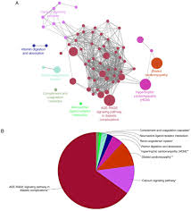 Construction And Analysis Of A Lncrna Mirna Mrna Network