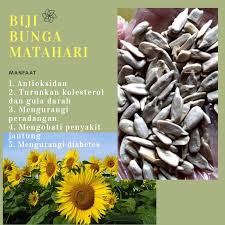 Dalam 100 gram kuaci biji bunga matahari juga terkandung sekitar 270 hingga 289 mg fitosterol yang sangat baik untuk menurunkan kadar kolesterol dalam darah, menyehatkan. Biji Bunga Matahari Kwaci Kupas Sunflower Seed 500 Gram Shopee Indonesia