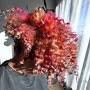 Profile Picture of DALLAS CURLY COLORIST Mattie Michelle (@curlycolormagic) (@instagram.com) on Google