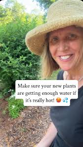 Don’t think you’re safe, even if you have a sprinkler system! If you  planted very recently and you’re in a heat wave, they are probably not  getting enough water. You can drip a hose for shrubs and ...