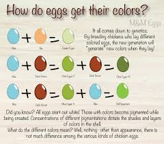 Eggs Of All Colors M M Eggs