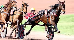 Elitloppet körs på söndagen och är ett inbjudningslopp där 16 hästar tävlar i två olika försök med åtta hästar i propulsion, som gör sin femte start i elitloppet, stod i lägst odds innan lottningen gjordes. Bold Eagle Final Adjustemnts Ahead Of Elitloppet