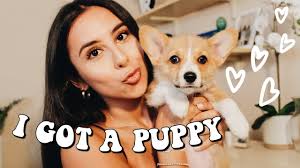I GOT A PUPPY! Bringing My New Corgi Puppy Home For the 1st Time *Vlog*