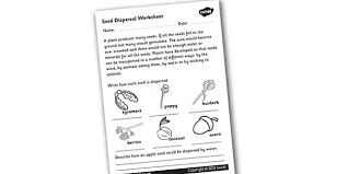 To apply your diligent side, we provide you with free ks2 worksheets. Free Seed Dispersal Worksheet Science Resource