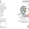 Signs and symptoms of thyroid problems depend on the type of problem, but may include weight gain or loss, heat or cold 15 hypothyroidism symptoms and signs (hashimoto's disease, cancer treatment side effects). 1