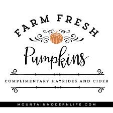Download Farm Fresh Pumpkins PSD Mockup Templates