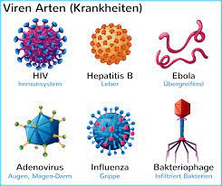Viren Virus Aufbau Arten Erkrankungen Schutz