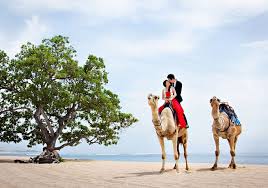 Sekhar menon, tini tom, sabitha jayaraj, binu adimaly, neha ramesh, hashim hussain. 16 Impossibly Beautiful Places For Wedding Photoshoot In Bali Wedding Photoshoot Bali Prewedding Pre Wedding Photoshoot