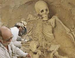Human giants are not entirely a product of legend in our history. Giant Skeleton Found In Bulgaria Who Were These Giants Giant Skeleton Giant Skeletons Found Nephilim