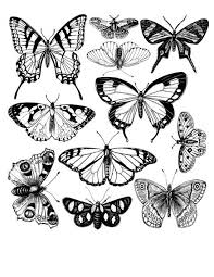 Pin On Coloring And Art