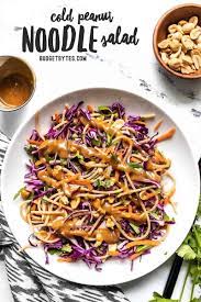 This Cold Peanut Noodle Salad With Homemade Peanut Lime Dressing Is The Perfect Meal Prep For Summer No Reheating Ne Recipes Cold Peanut Noodles Salad Recipes