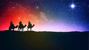 Es una especie de planta de la familia de las gramíneas o asparagáceas (asparagaceae), específicamente al género ornithogalum. Bvccutaul59vtm