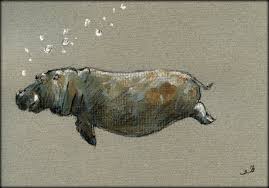 print hippo hippo swimming print of watercolor painting etsy 動物を描く カバ イラスト