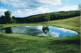You can make an outdoor fish paradise for less than you might think. How To Build A Backyard Pond Tips From A Professional Pond Builder