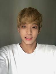 Holland Vvv Holland Korean Idol Singer