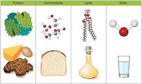 Time to put our nerd caps on! 1 2 What Are Nutrients Medicine Libretexts