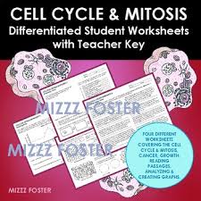 The control of the cell cycle is essential for the normal functioning of the. Cell Cycle Worksheet Teachers Pay Teachers
